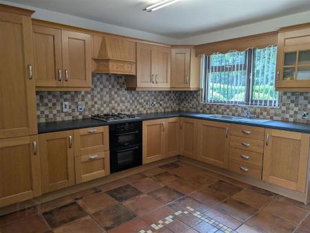 43 Kilmandil Road, Dunloy, BT44 9BH - Photo 5
