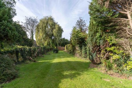 3 bedroom semi-detached house to rent - Photo 3