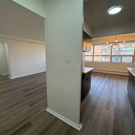 17 GULLIVER RD. #505 - NEWLY UPDATED, SPACIOUS 1BED/1BATH, BALCONY - Photo 3