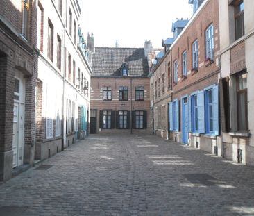 Location Appartement 1 pièce 36m² LILLE 59800 - Photo 3