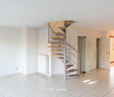 Duplex Te huur in Asse - Photo 3