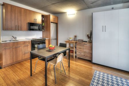 Condo for rent, Montréal (Le Sud-Ouest) - Photo 5