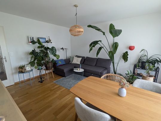 3 Zimmer, 60 m², EG - Photo 1