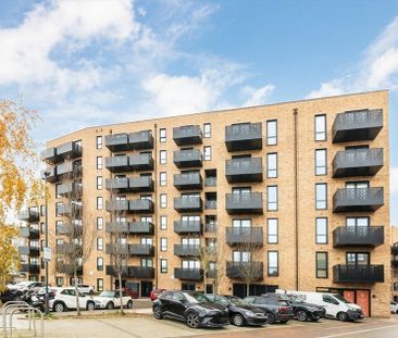 Middle Road - Photo 4