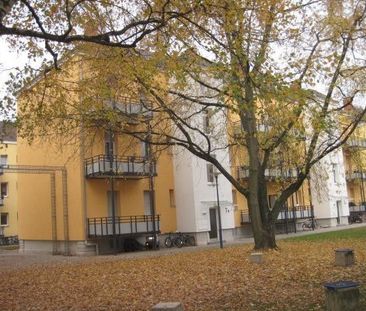 3-Zimmer Wohnung in ruhiger Stadtlage - Foto 1