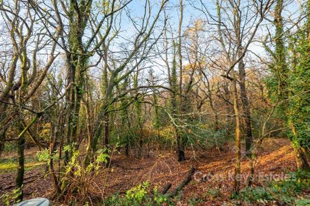 2 bedroom house to rent - Photo 5