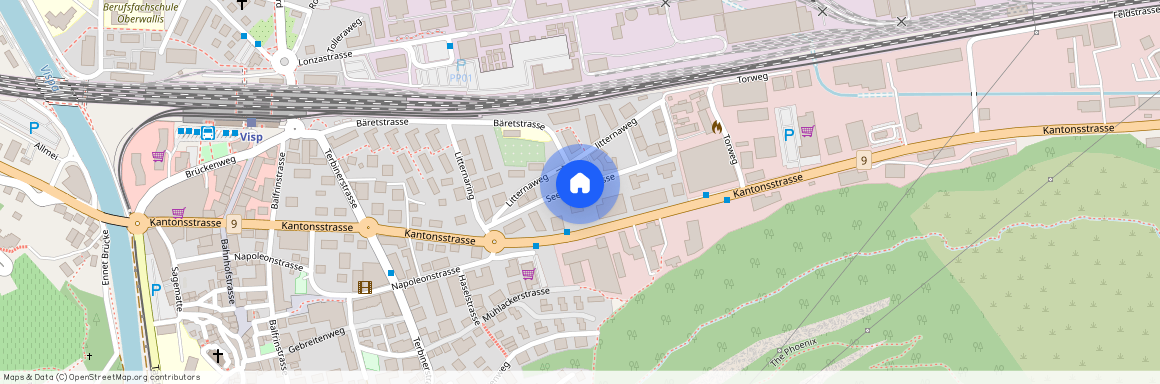 3930, Eyholz, Seewjinenstrasse, 6