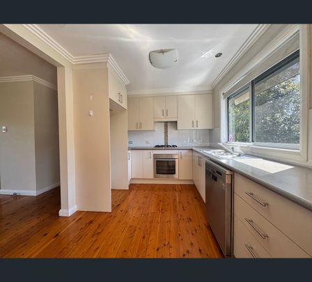 24 Mcdonald Avenue, Nowra, NSW 2541 - Photo 1