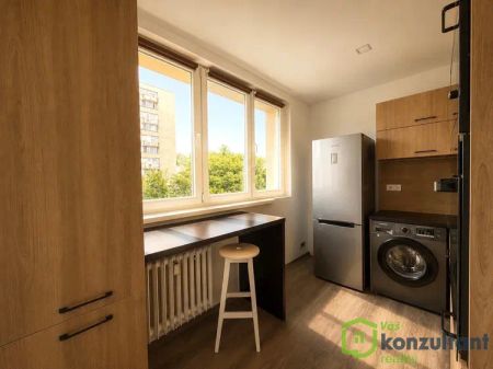 Krásná a moderní 3+1 se 2 lodžiemi u Komenského sadů – Slezská Ostrava - Fotografie 5