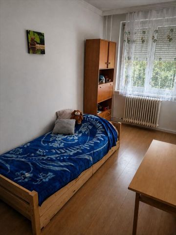 Kiadó jó állapotú panel lakás - Debrecen - Fotó 2