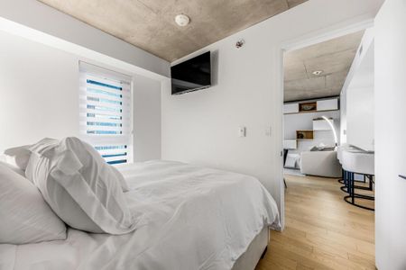 Appartement à louer - Montréal (Le Sud-Ouest) (Griffintown) - Photo 5