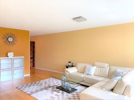 Felix de Nobelhof 12 - Photo 5