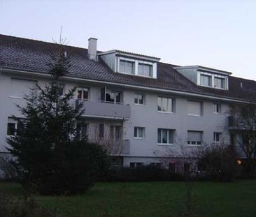 Baselland MFH Grabenring - Photo 4