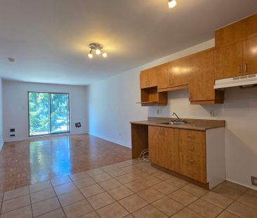 À louer / Appartement - Photo 5