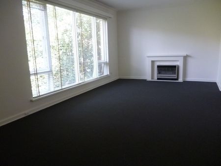 11/12 Williams Road, Windsor VIC 3181 - Apartment For Rent | Domain - Photo 5