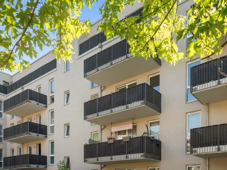 Lacus Quartier - Moderne 2- Zimmer Wohnung - Photo 5