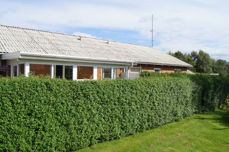 Lemming Brovej, 13B, Lemming, 8632 - Photo 5