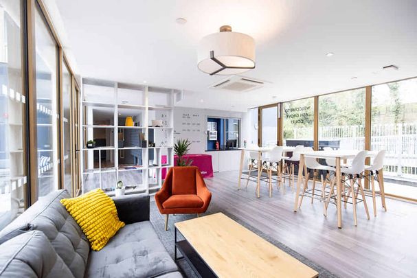 Standard Studio - Photo 1