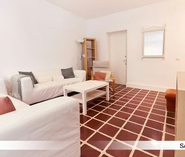 Avenida Reina Mercedes, Sevilla, Andalusia 41012 - Photo 3