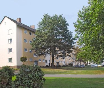 3-Zimmer-Wohnung in Fallersleben mit sonnigem Balkon - Photo 2