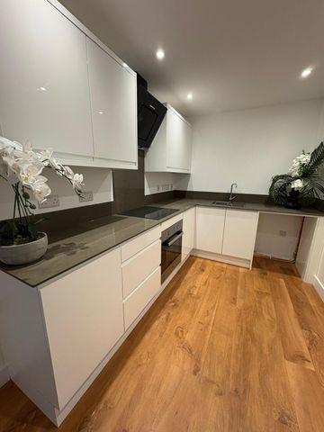 Two bedroom apartment - Photo 4