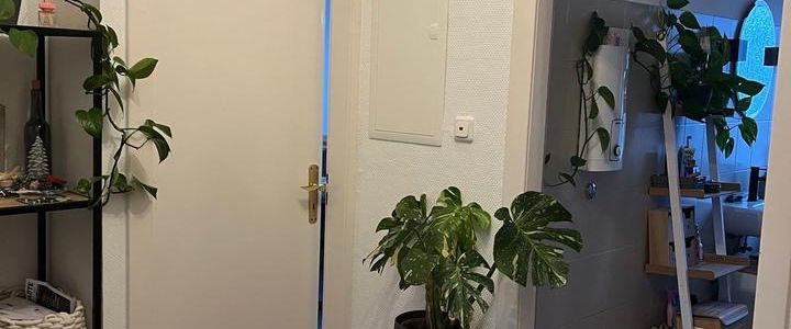 Helle 2 Zimmer Wohnung mit großem Balkon und Garage - Photo 1