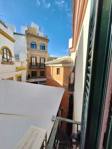 Calle Jerónimo Hernández, Sevilla, Andalusia 41003 - Photo 5