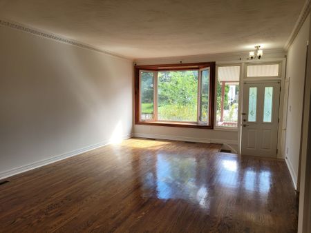 For Lease - 229 Alsace Road, Richmond Hill, Ontario - Photo 3