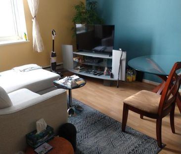 loft a louer - Photo 3