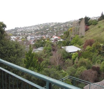 Easy Living on the Hill - 4 Bedrooms in Cashmere - Photo 2