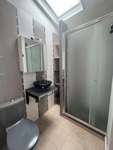 Duplex/Triplex - Photo 4