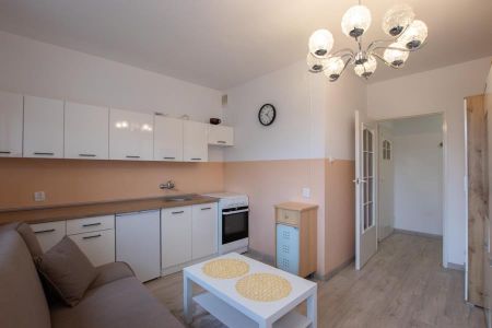 MIESZKANIE na WYNAJEM - Zdjęcie 5