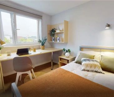 Bronze Studio Plus - Photo 5