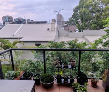 Surry Hills - Photo 3