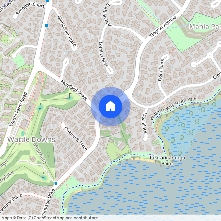 3 Tington Avenue, Wattle Downs, Manukau City