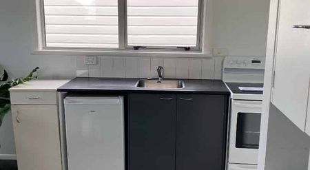 PRIME LOCATION 1 bedroom in Grey Lynn with carpark - Photo 5