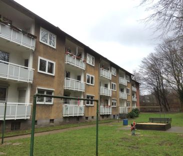 Demnächst frei! 3-Zimmer-Wohnung im Erdgeschoss in GE-Hassel - Photo 5