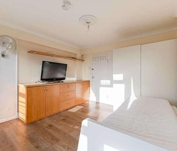 Queens Caroline Street, Hammersmith, W6 - Photo 2