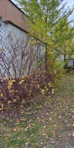 Maison mobile à louer - Photo 4