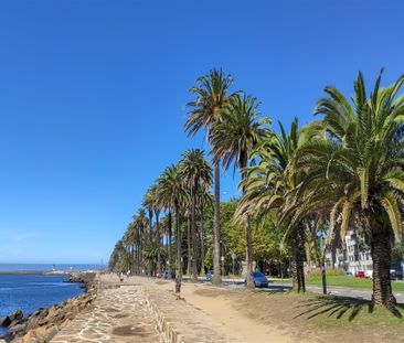 Apartamento T2 - Photo 2