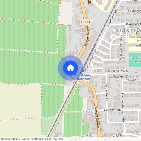 Alzeyerstraße 108, 67592 Flörsheim-Dalsheim