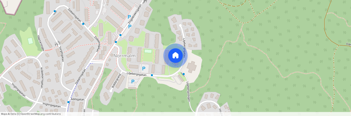 Borås, Liljebergsgatan, 51, 50639