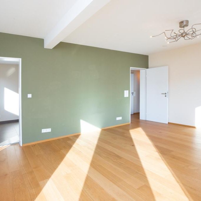 Freistehendes Einfamilienhaus mit großem Garten - Photo 1