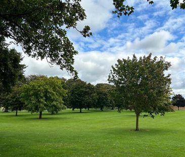 1 bedroom bungalow to rent - Photo 6