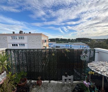 Location appartement 2 pièces 41.19 m2 à Amboise - Photo 5