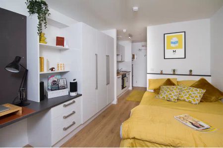 Skyline Large Deluxe Studio - Photo 4