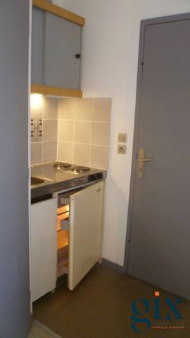 Location Appartement 1 pièce 18m² GRENOBLE 38100 - Photo 3