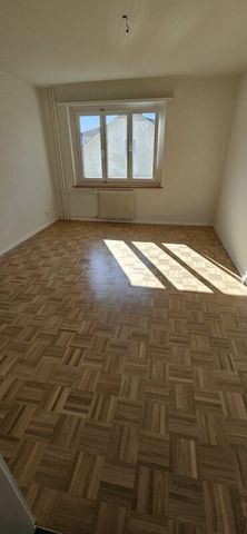 Schöne renovierte Genossenschaftswohnungen an ruhiger Lage / Jolis appartements renovés de coopérative au calme - Photo 4