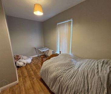 41 Fortuna Street, Donegall Road, Belfast, BT12 5PL - Photo 5