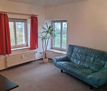 Pendler aufgepasst! 1-Zimmer-Appartment im Schloßgarten - Foto 1